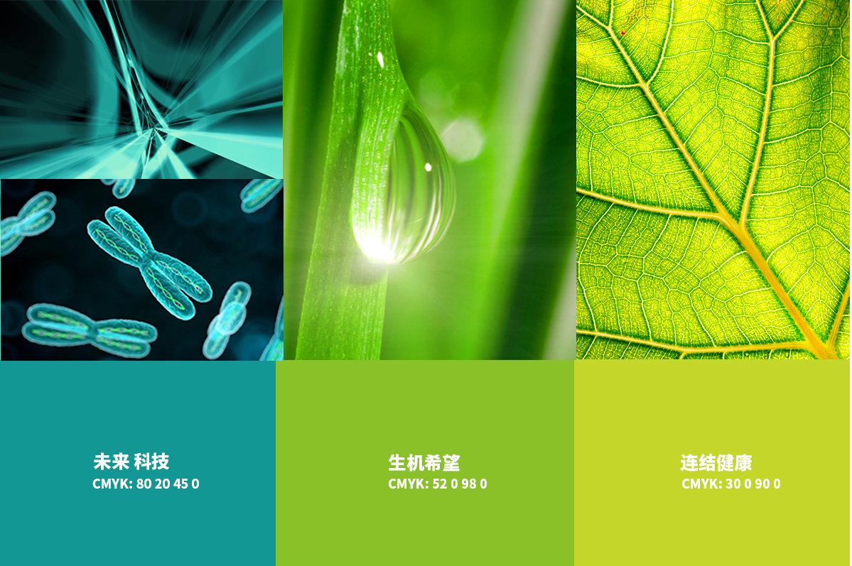 品牌案例-2-內頁（哈爾濱仁薩醫院）_07.png