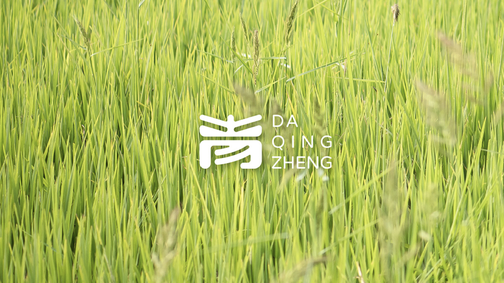 農業vi設計.jpg