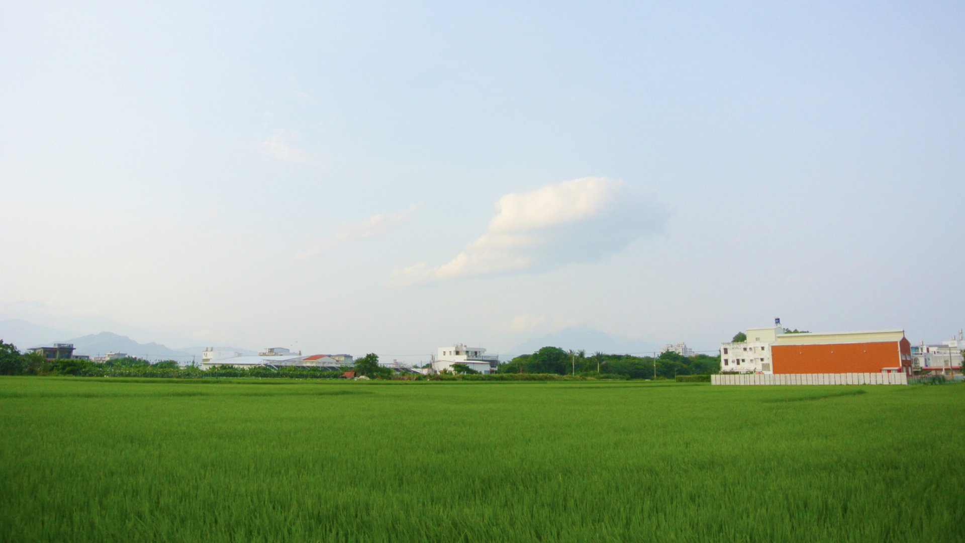 土特產全案策劃.jpg