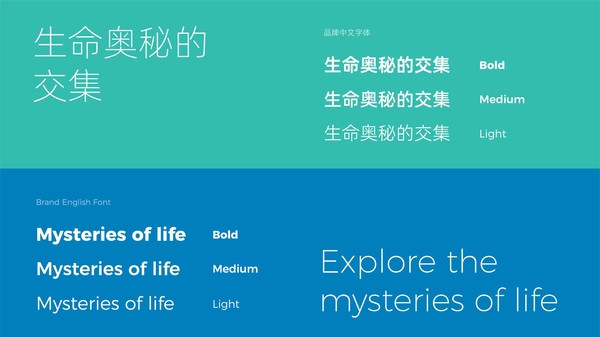 3醫療字體.jpeg