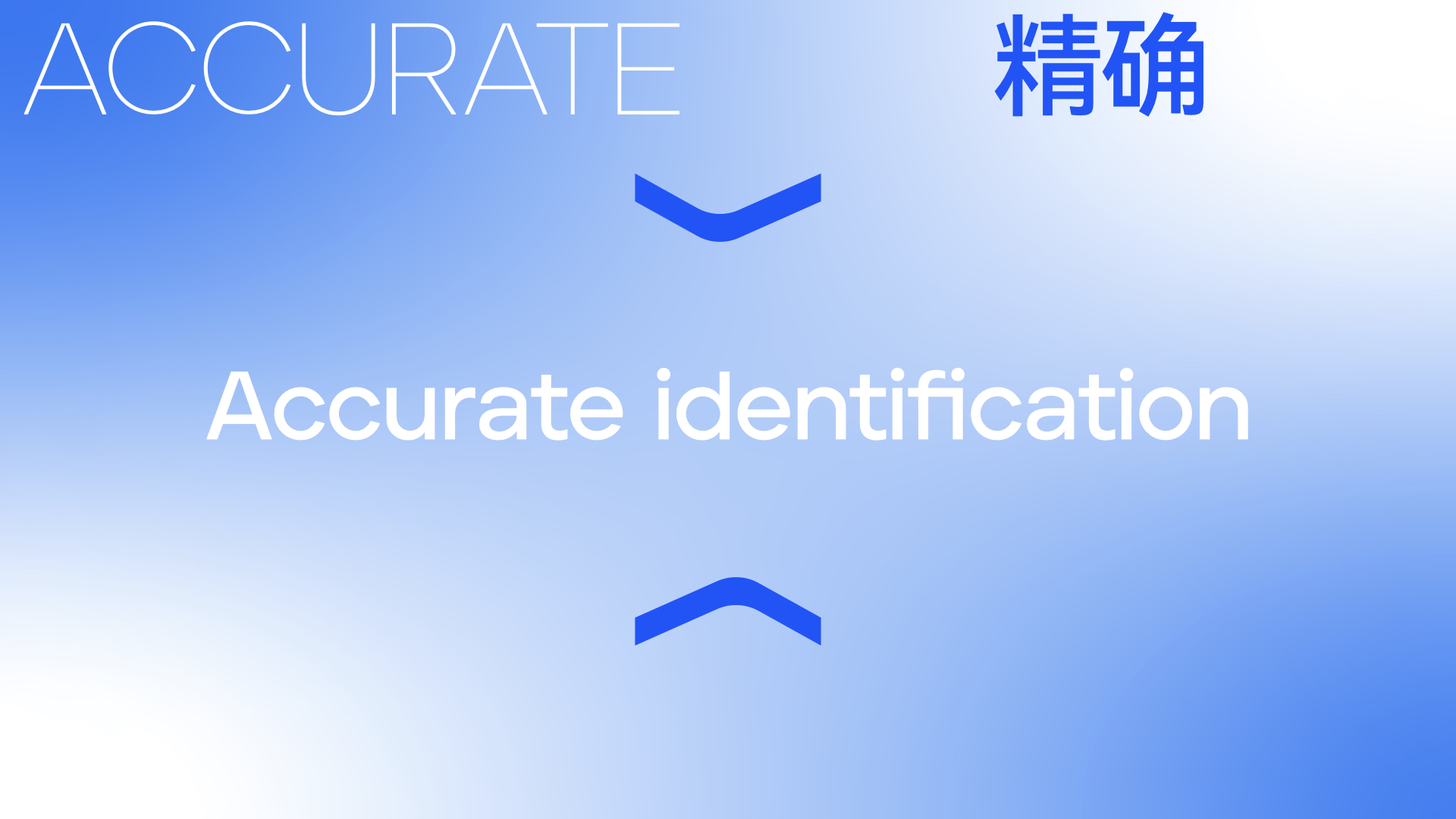 科技公司品牌設計.jpeg